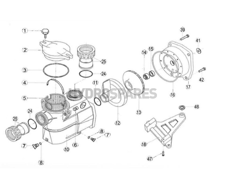 Swimming Pool > Pool Pumps, Filters & Blowers > Pool Pumps & Spares