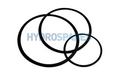 Gaskets & Seals Gaskets & Seals