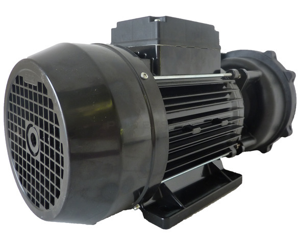 Waterway Executive 56F Spa Pump - 2HP - 1 Speed 