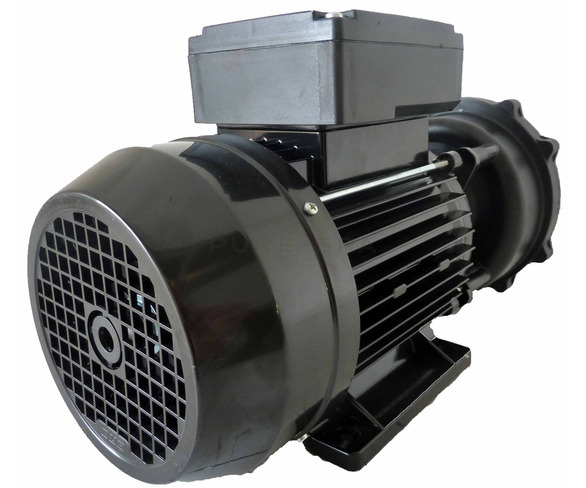 Waterway Executive 56F Spa Pump - 2HP - 2 Speed - 2 ½" x 2