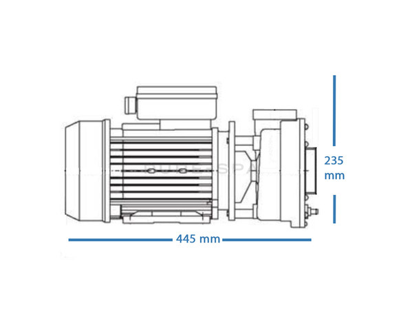 LX WP250-II Spa Pump - 2 ½HP - 2 Speed
