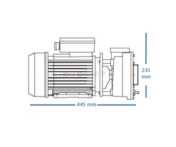 LX WP300-II Spa Pump - 3HP - 2 Speed