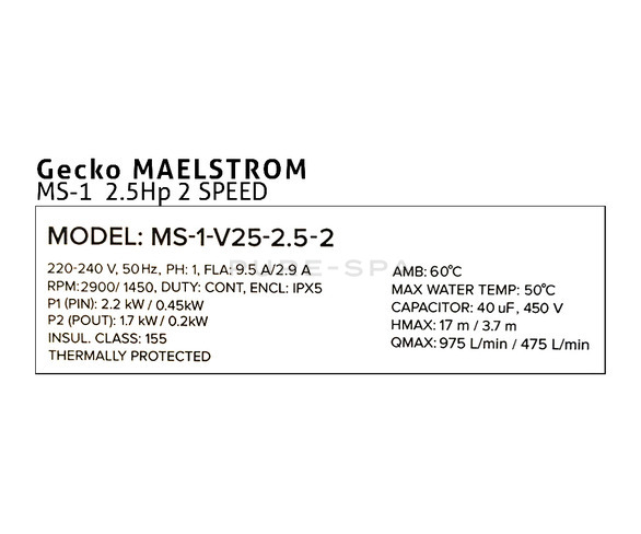 Gecko - Maelstrom MS-1 Spa Pump - 2.5HP - 2 Speed