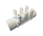 Waterway Water Manifold 2