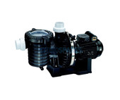 Sta-Rite 5P6RG Single Phase Pump