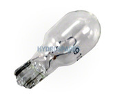 Waterway Filament Light Bulb