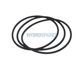 Plastica Argonaut Pump - Lid O-Ring 