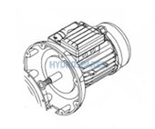 Plastica AG Pump Spare Motor - AG16