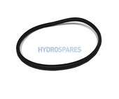 AstralPool Victoria Plus Pump - Motor Clamp Gasket (18)