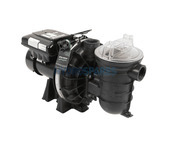 Sta-Rite S5P2R Single Phase Pump 