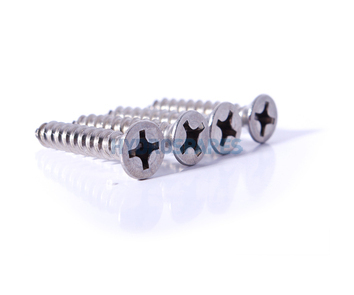 Waterway Stainless Screw For Mounting Plate