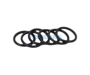 Plastica Argonaut Pump - Diffuser O-Ring 