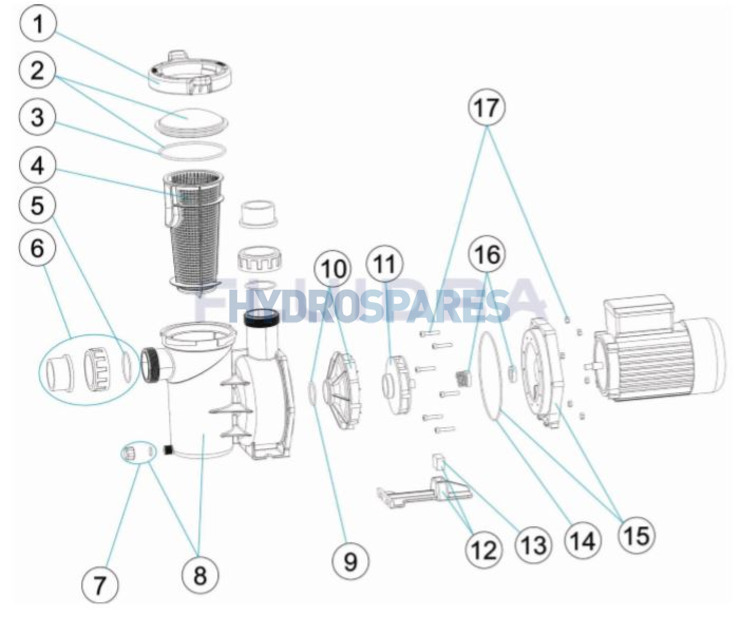 Astral BOISE Basket Pump - 1 HP / 1 Phase