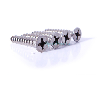 Waterway Stainless Screw For Mounting Plate