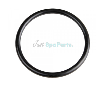 Waterway Filter Lid O-Ring