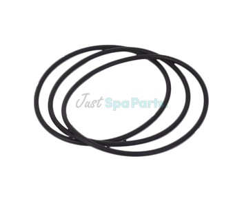 Plastica Argonaut Pump - Lid O-Ring