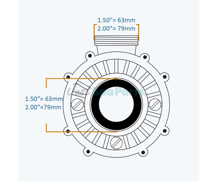 Gecko Circ-Master CP 48F Wet End - 1/15HP - 1 ½" x 1 ½"