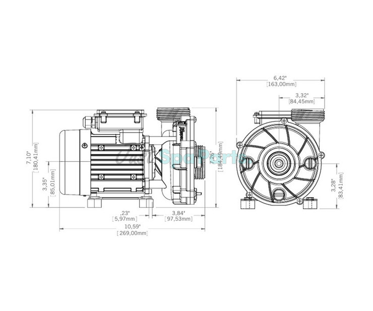 Gecko Maelstrom CMS-1 Circ Pump -  0.2/0.12Hp - 1 Speed