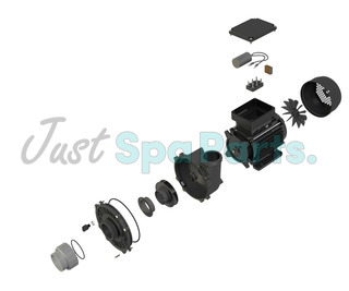 Pump Spares & Accessories